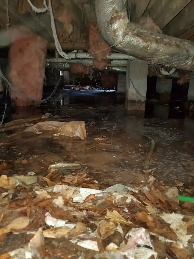 Crawl space flood assessment for Leak Detection & Repair in Plymouth